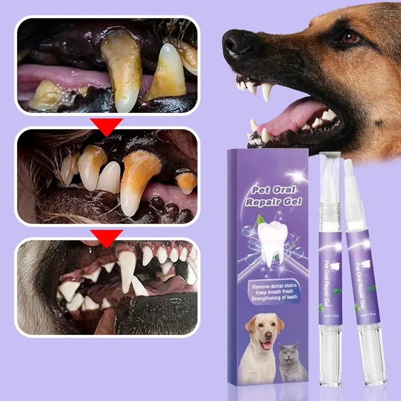 🔥Pawzioo™ Pet Oral Repair Gel  – Freshen Your Pet’s Breath & Improve Gum Health Fast!