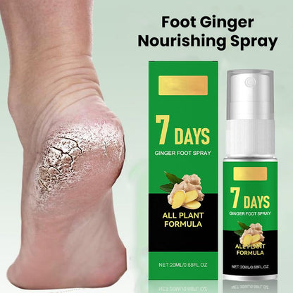 Feet Callus Remover